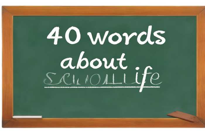 关于学校生活的英语作文40字 - 关于学校生活的英语作文40字带翻译