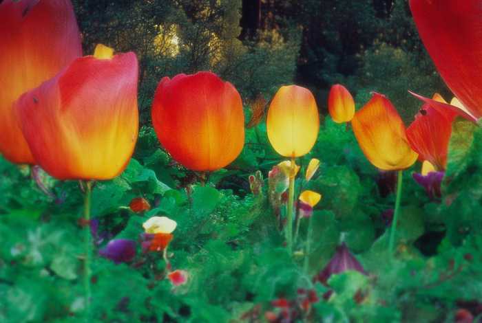 福建莆田生活习俗；福建莆田有哪些风俗