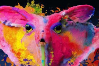 虎皮鹦鹉的特点和生活特征、虎皮鹦鹉的特点和生活特征描写