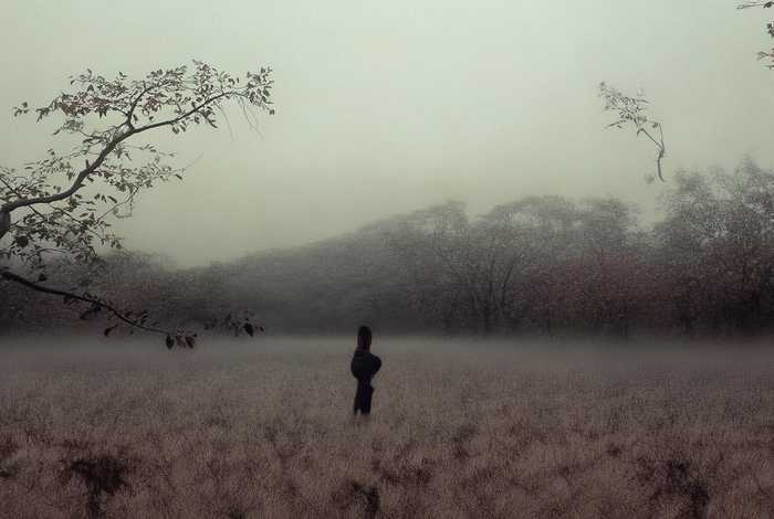 精彩生活网（精彩生活网站关闭了吗）