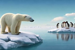 北极熊为什么不吃企鹅；请问北极熊为什么不吃企鹅