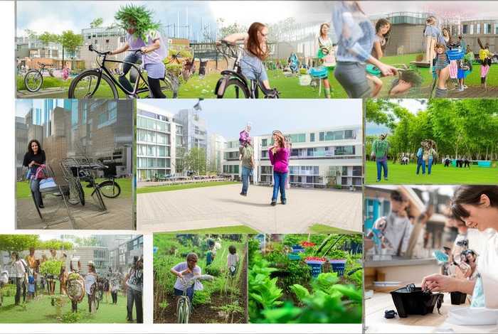 大学生如何推广低碳生活（大学生如何推广低碳生活方式）