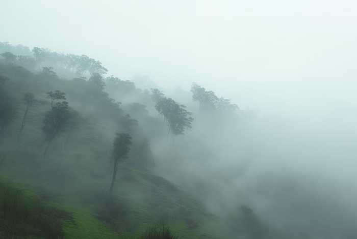 道士生涯、道士生涯张紫宸全文阅读