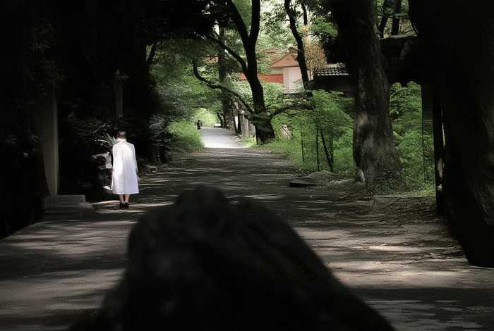 杜甫的生活经历概括、杜甫的生活经历概括50字 杜甫的生活经历概括、杜甫的生活经历概括50字