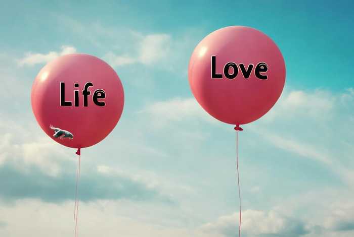 爱情不过是生活的屁还是皮 爱情不过是生活的屁什么意思 爱情不过是生活的屁还是皮 爱情不过是生活的屁什么意思