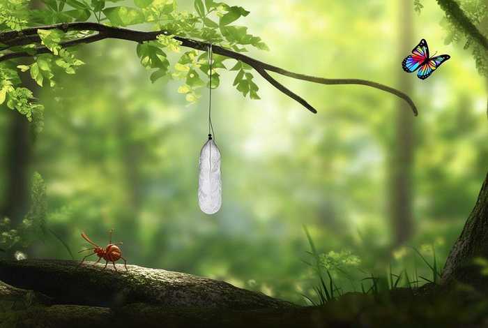 蝉蚕的生活方式；蝉蚕的生活方式是怎样的