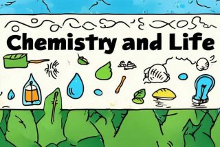 化学与生活手抄报内容简单，化学与生活手抄报内容简单一点