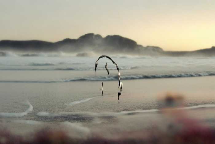 和生活美好安徽签到 美好安徽和生活签到送流量