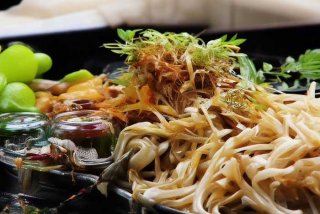 地钱生活史文字表达，简述地钱生活史