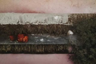 岭南的美与生活，形容岭南美景的诗句