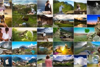 50个生活问题（50个生活问题及答案）