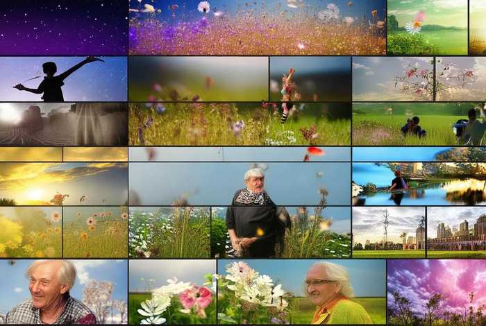 关于生活的歌曲有哪些（关于生活的歌曲有哪些歌）