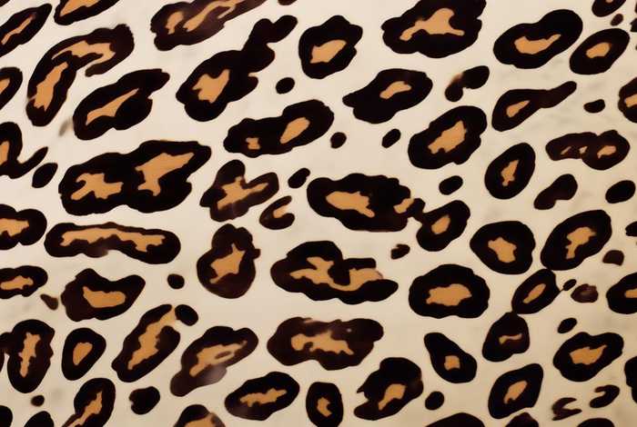 豹纹长啥样 豹纹长啥样的 豹纹长啥样 豹纹长啥样的