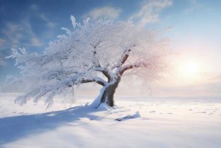 假如生活欺骗了你感悟50字，假如生活欺骗了你感悟50字怎么写