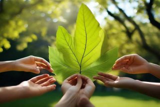 加法的生活意义有哪些 - 加法的生活意义有哪些呢