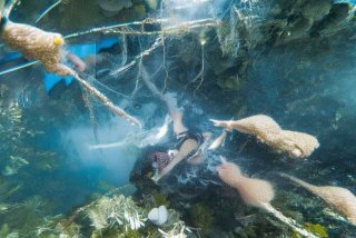 货车司机的生活货车司机的心酸语句 - 货车司机的心酸语句2018