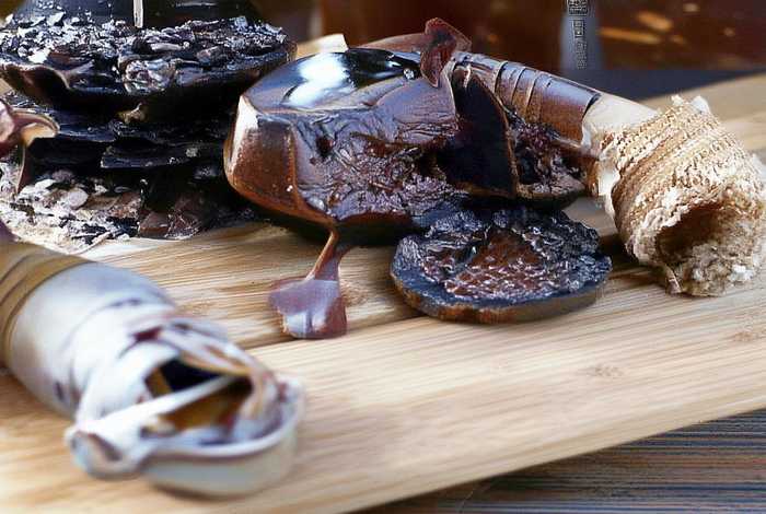 海鸥的生活习性及特征视频动画片,海鸥的特点和生活特征 海鸥的生活习性及特征视频动画片,海鸥的特点和生活特征