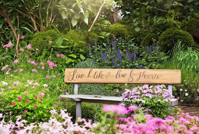 花草生活格言；花草生活格言怎么写