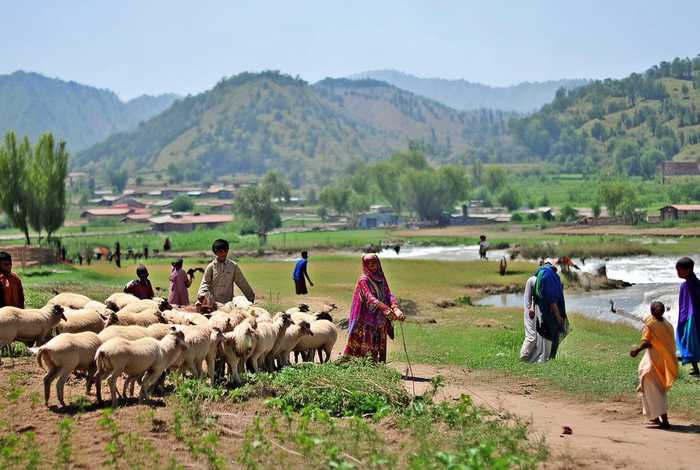 巴基斯坦农村真实生活视频（巴基斯坦农村真实生活视频大全）