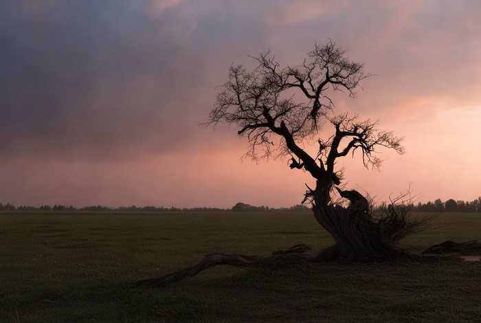 挫折类作文初中600字（挫折类作文初中600字以景开头）