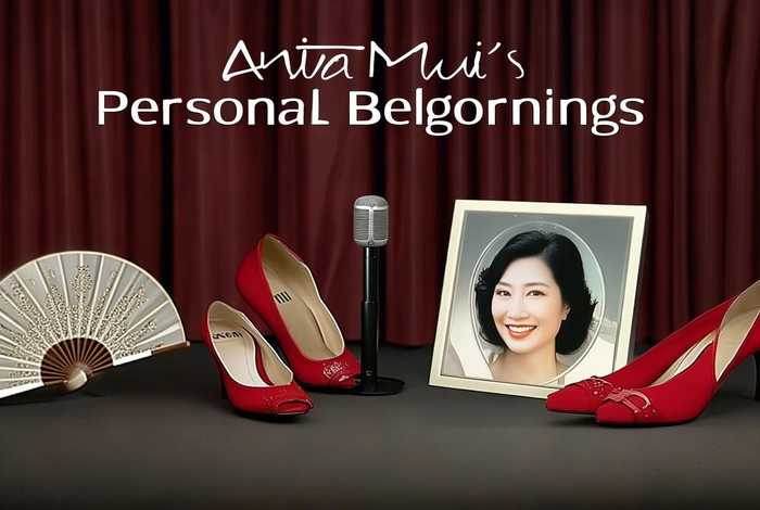 梅艳芳私人物品 - 梅艳芳私人物品是什么