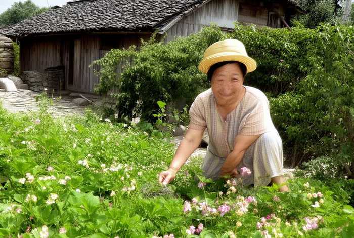 兰兰和老妈农村生活 兰老妈的农村生活