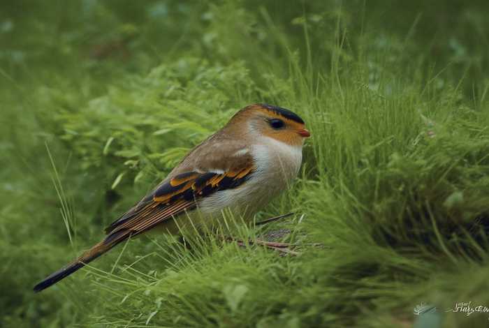 货车司机生活状况,货车司机生活状况描述 货车司机生活状况,货车司机生活状况描述