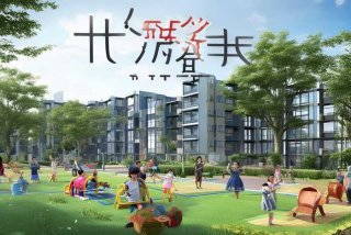 彩生活碧桂园 - 碧桂园服务 彩生活