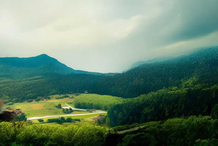 狂野的生活和平凡的世界；狂野的生活和平凡的世界的区别