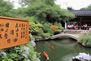 崇福生活论坛网 崇福生活论坛网址