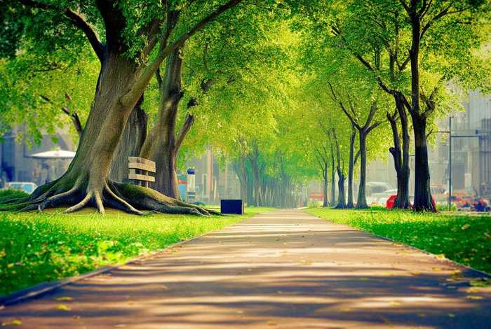 繁忙生活中的留白（繁忙生活中的留白作文）