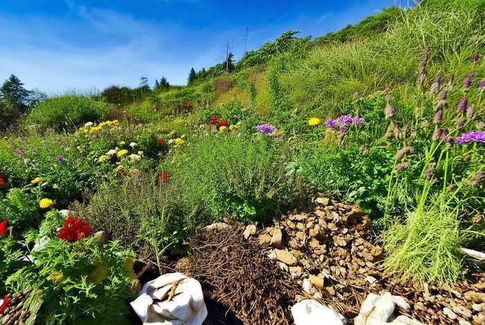 福建野生中药材 - 福建野生中药材交易平台