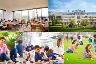 大学生如何适应大学生活800字（大学生如何尽快适应大学生活800字文章）