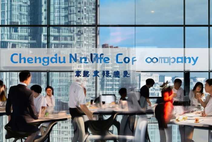 成都新生活公司；成都新生活公司简介