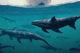 多鲸生活倒闭了吗（多鲸生活可信吗）