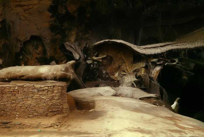 货车司机生活不易；货车司机生活不易的句子