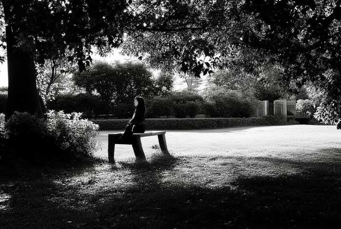 不打扰别人的生活就是最好的修养、不打扰别人的生活是一种修养