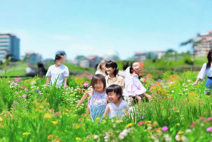 鹤岗壹佰加农业观光园（鹤岗壹佰加超市营业时间）