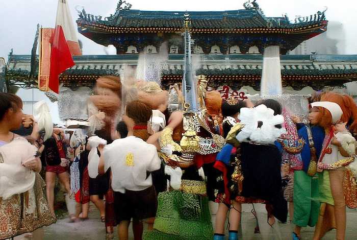 绿萝的生活环境100字左右 - 绿萝的生活环境100字左右作文