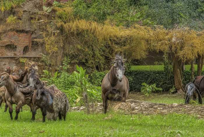 留守妇女的生活变得丰富多彩，留守妇女的生活变得丰富多彩英语翻译