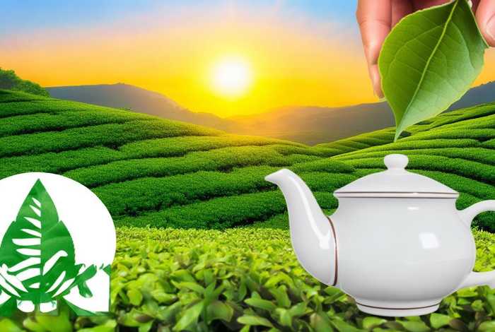 玖汇生物科技有限公司（玖汇生物科技有限公司酸枣叶茶）