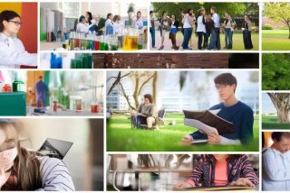 大学校园生活文章简短 - 大学校园生活文章简短精辟