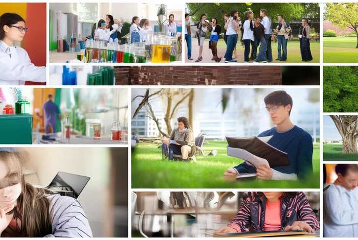 大学校园生活文章简短 - 大学校园生活文章简短精辟 大学校园生活文章简短 - 大学校园生活文章简短精辟