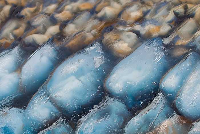 大城市生活模拟器最新版本 - 大城市生活模拟器最新版本下载