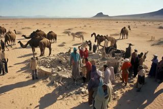 库尔勒野生动物致害 - 库尔勒野生动物致害视频