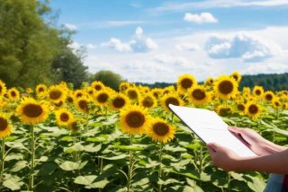 发现生活中的美作文素材 发现生活中的美作文素材积累