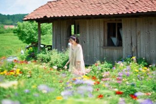 丽丽的生活日记百家号、丽丽的农村生活百家号