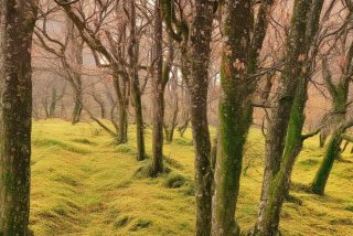 成都人的生活方式和理念 - 成都人的生活方式和理念有哪些