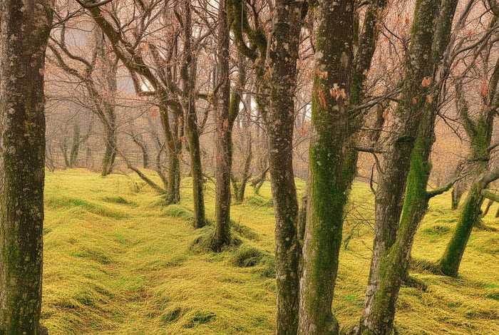成都人的生活方式和理念 - 成都人的生活方式和理念有哪些