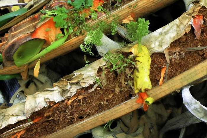 杜颜胜天津大学 天津大学杜尊峰